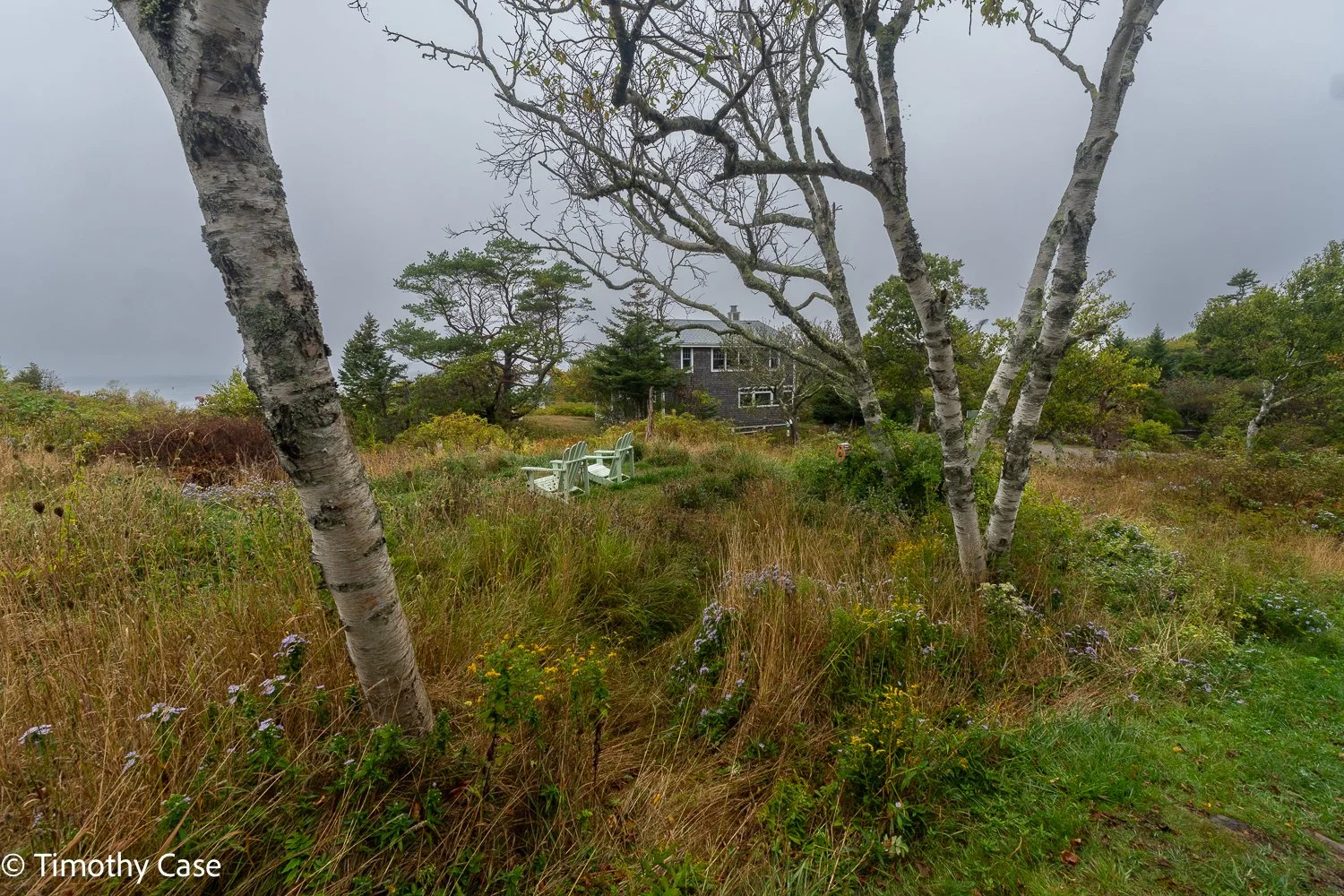 Monhegan Island, Maine September 25, 2025