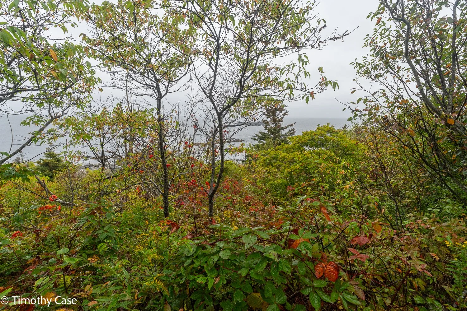 Monhegan Island, Maine September 25. 2025