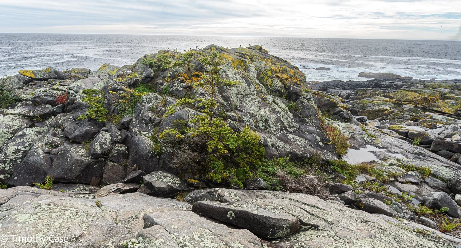 Monhegan Island, Maine September 26. 2025