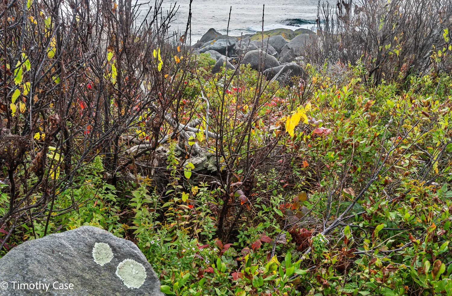 Monhegan Island, Maine September 26. 2025