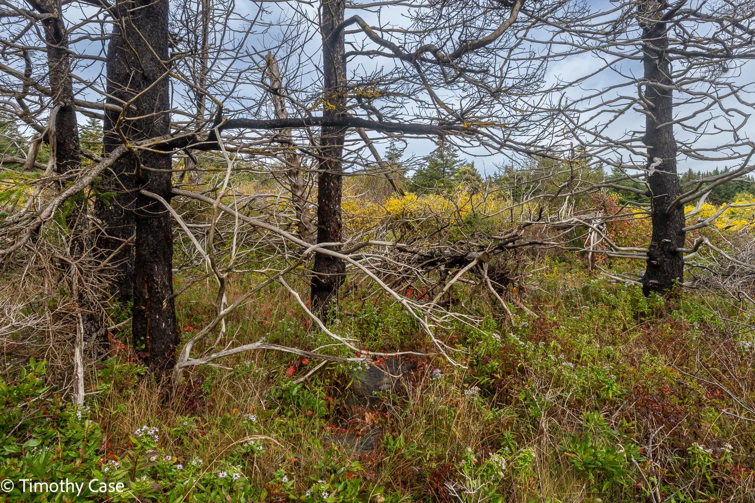 Monhegan Island, Maine September 26. 2025