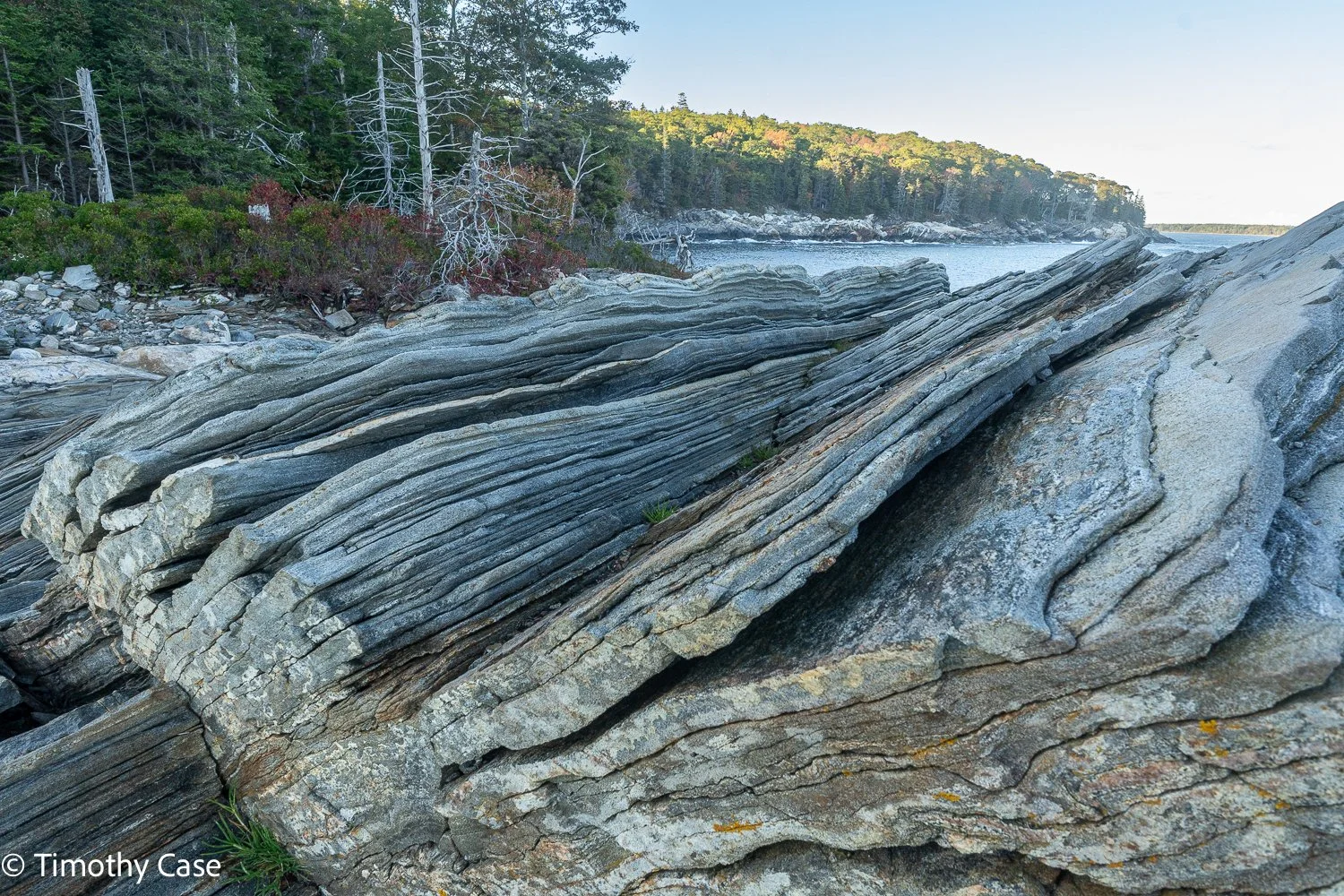 Slate Beach #2