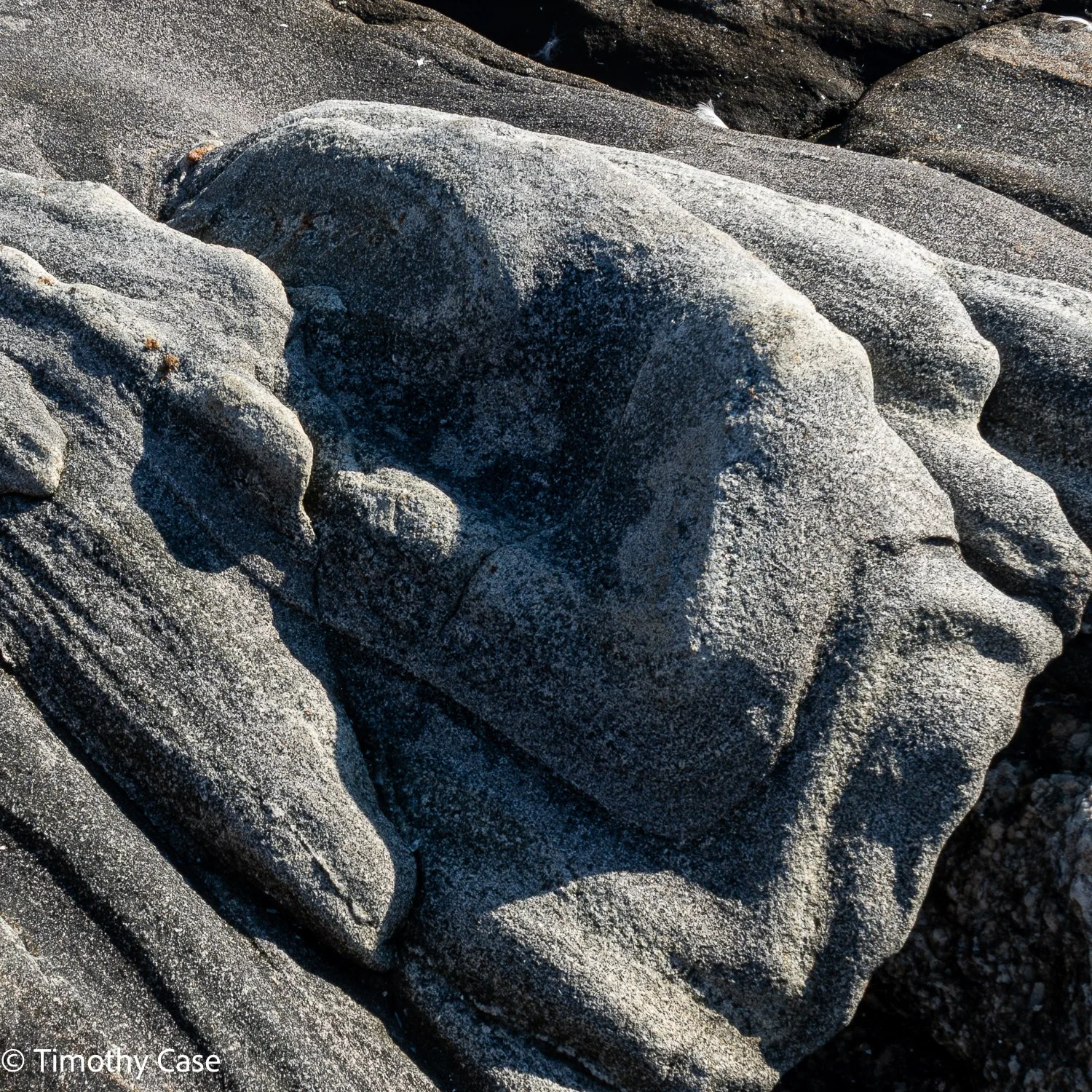 Pemaquid Lava Flow #2