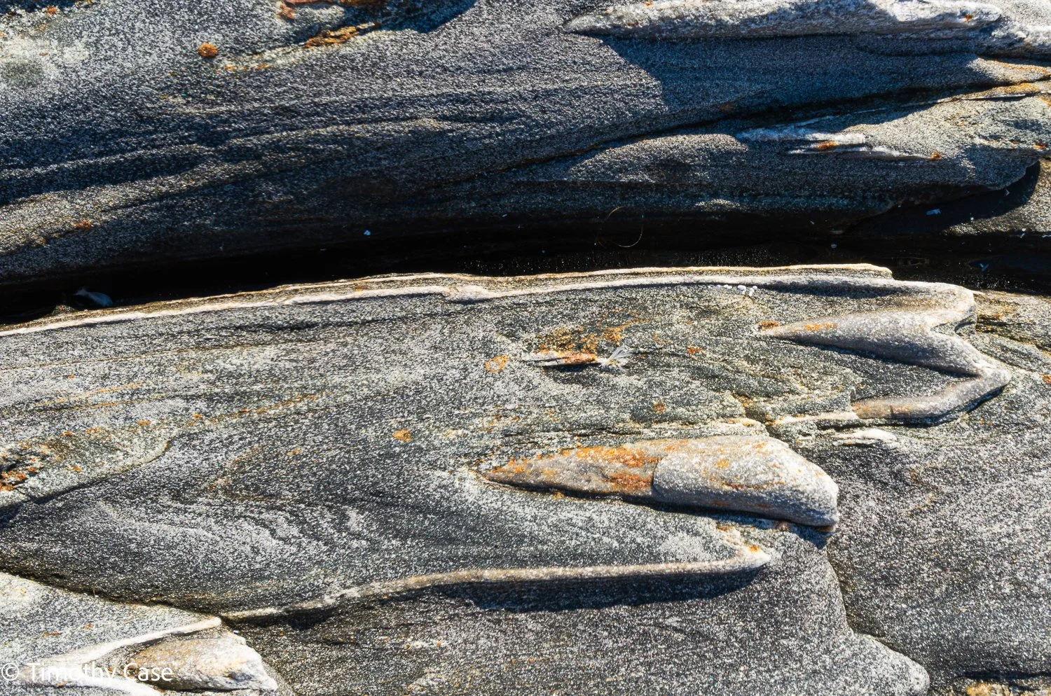 Pemaquid Lava Flow #3