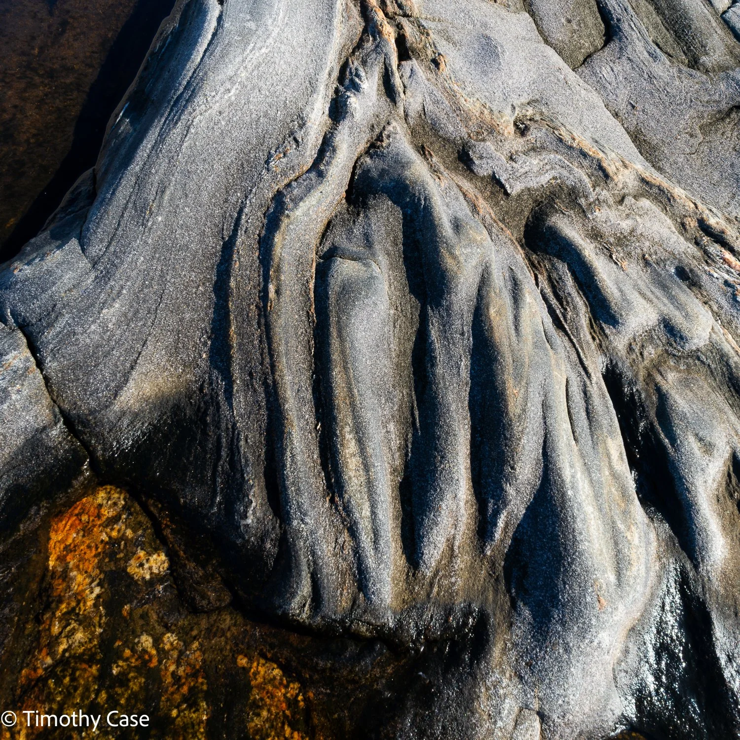 Pemaquid Lava Flow #1