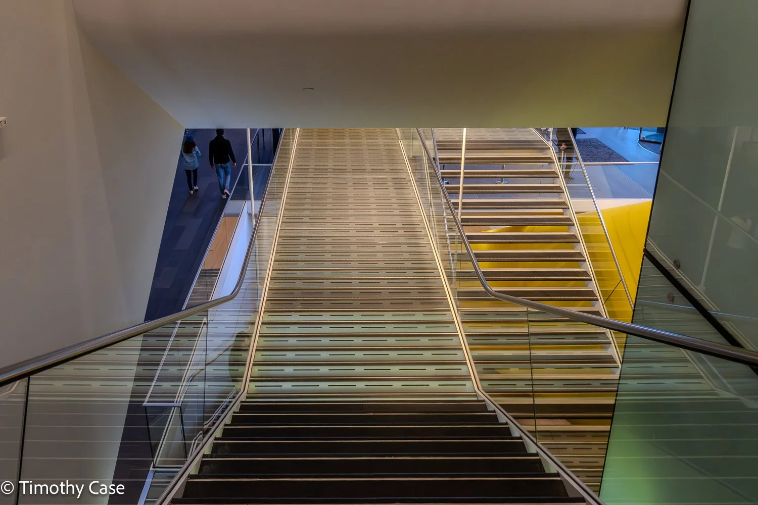 Stedelijk #2