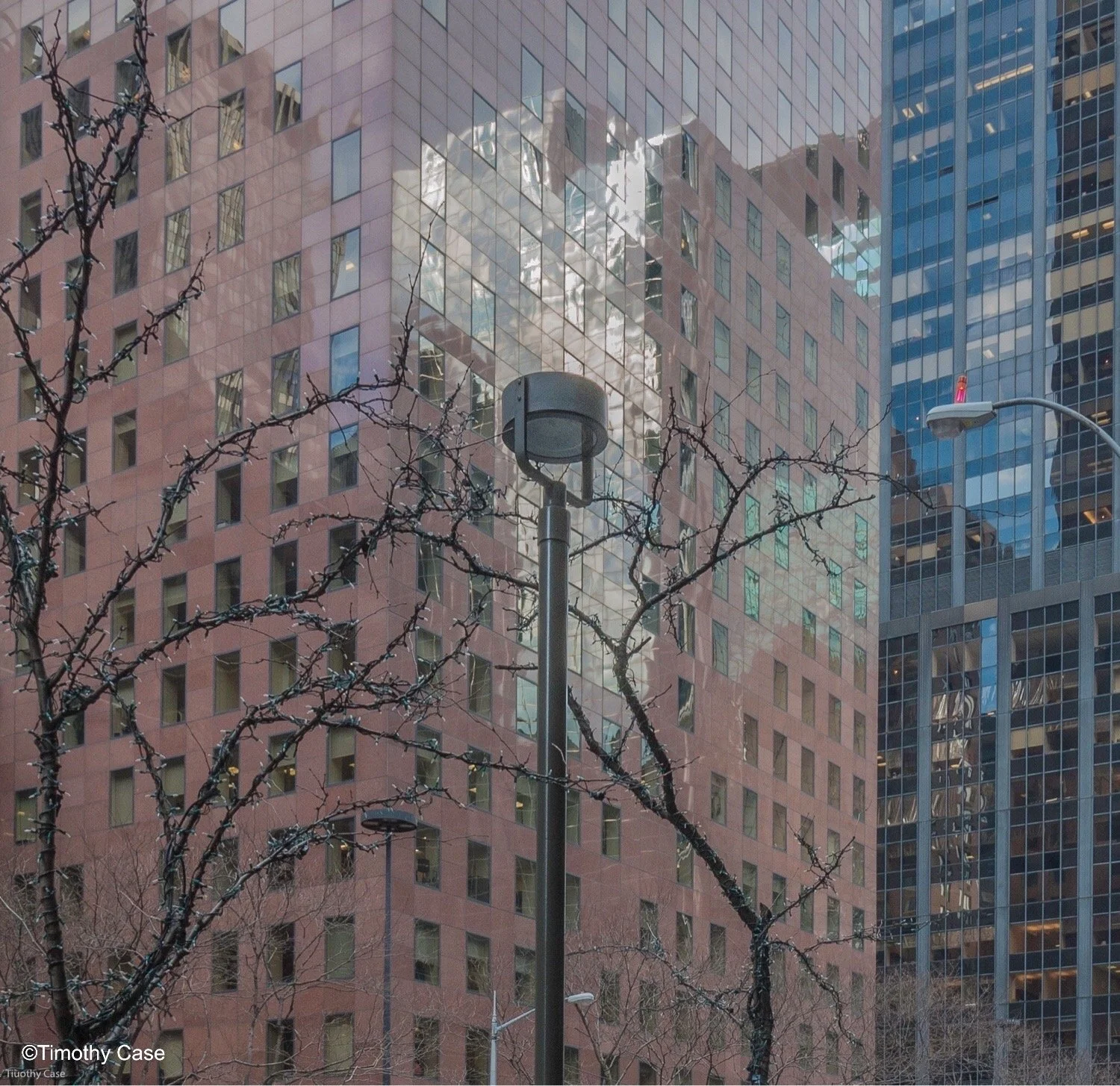 20140124 _1200264 c.jpeg