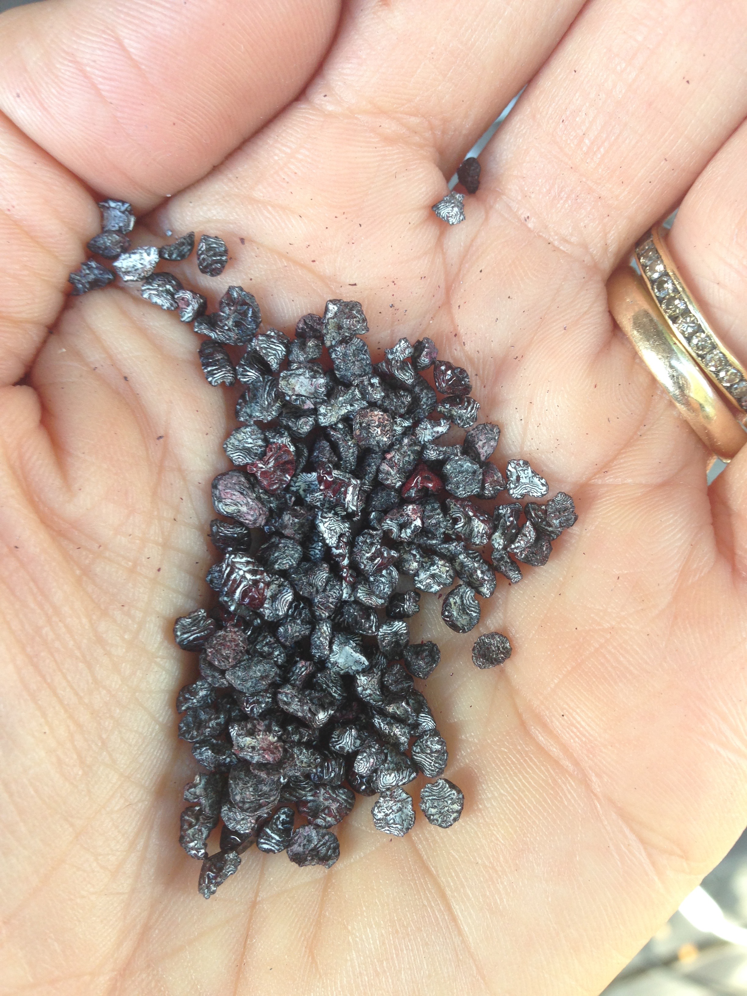 handful of the lady bugs
