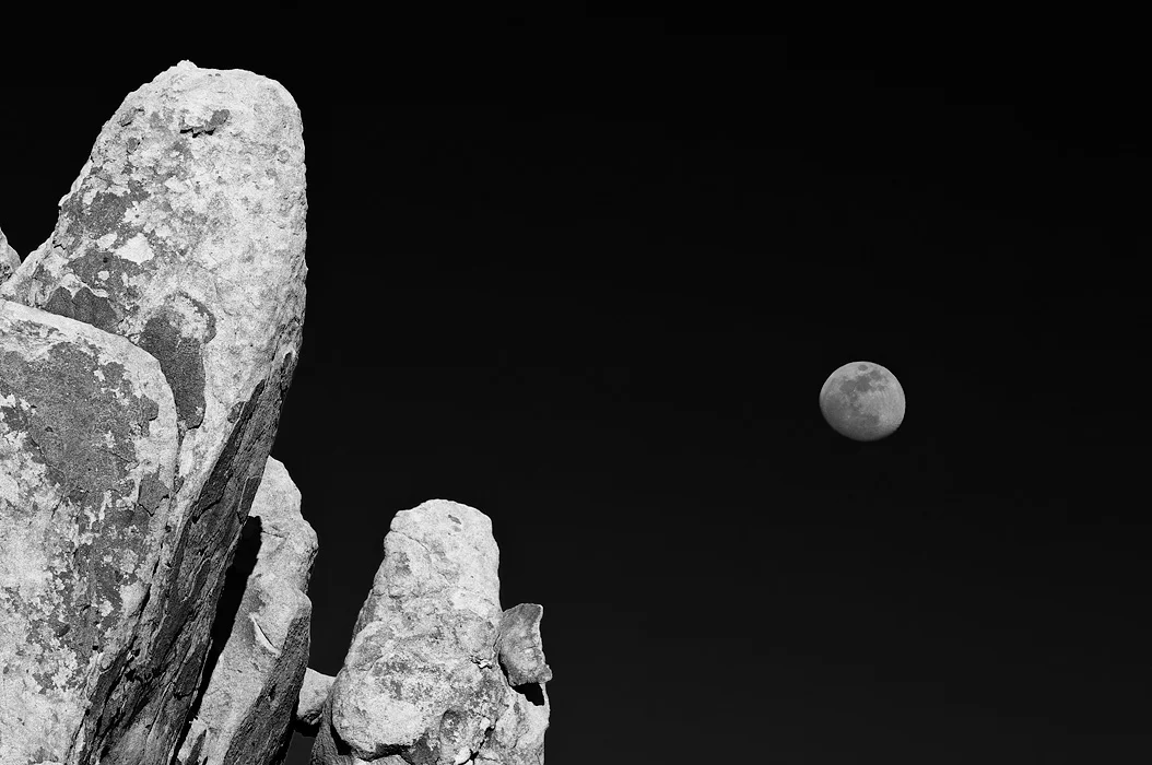 Leaning into the moon, JT
