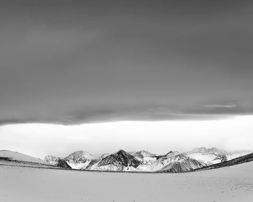 bristlecone.7603.jpg