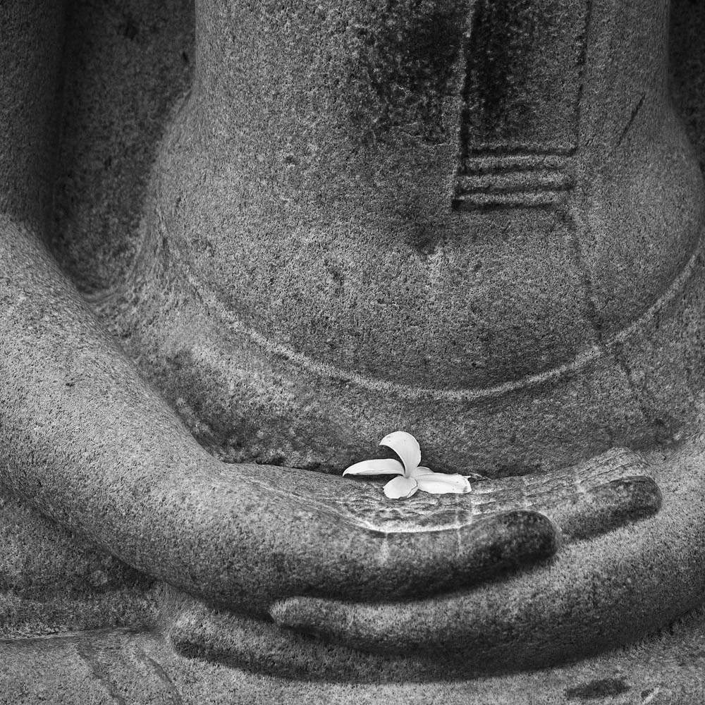 sitting Buddha