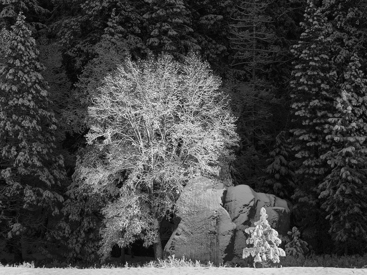 1215.Yosemite_Wawona.112.jpg