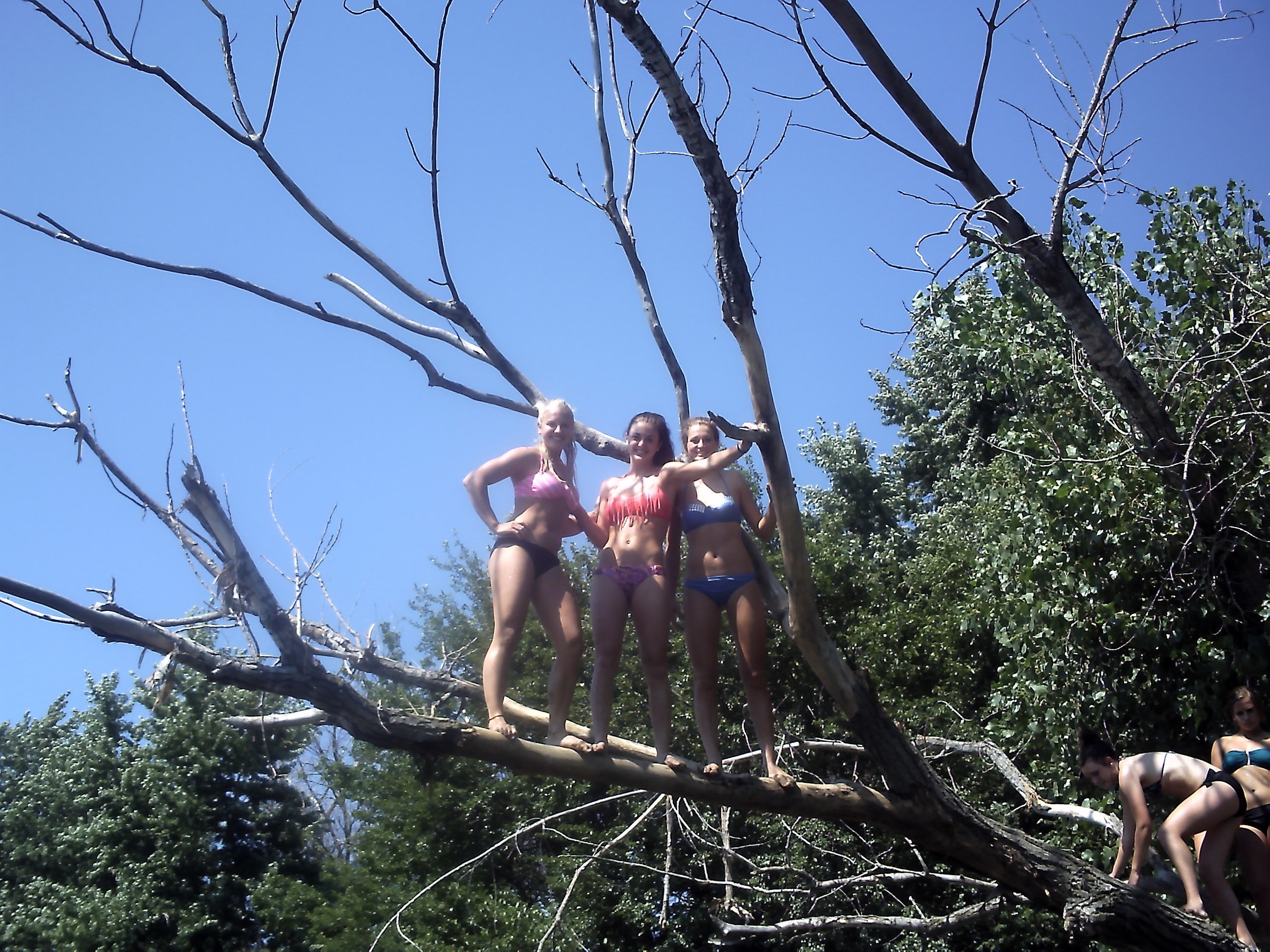 Don't climb trees and jump into the water...like these daring ladies.