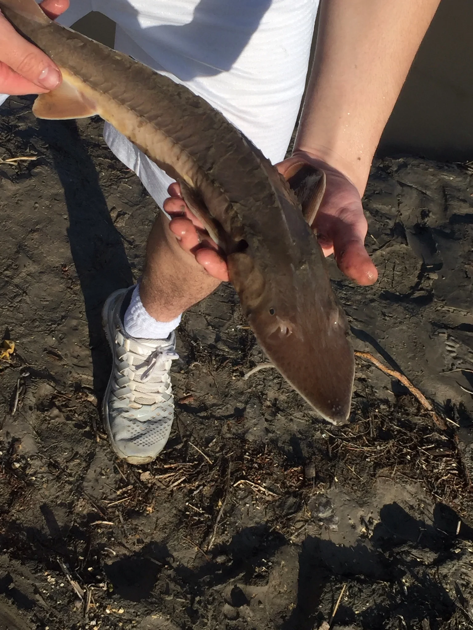 A friend of T&A catching an alien fish out of the river at T&A.