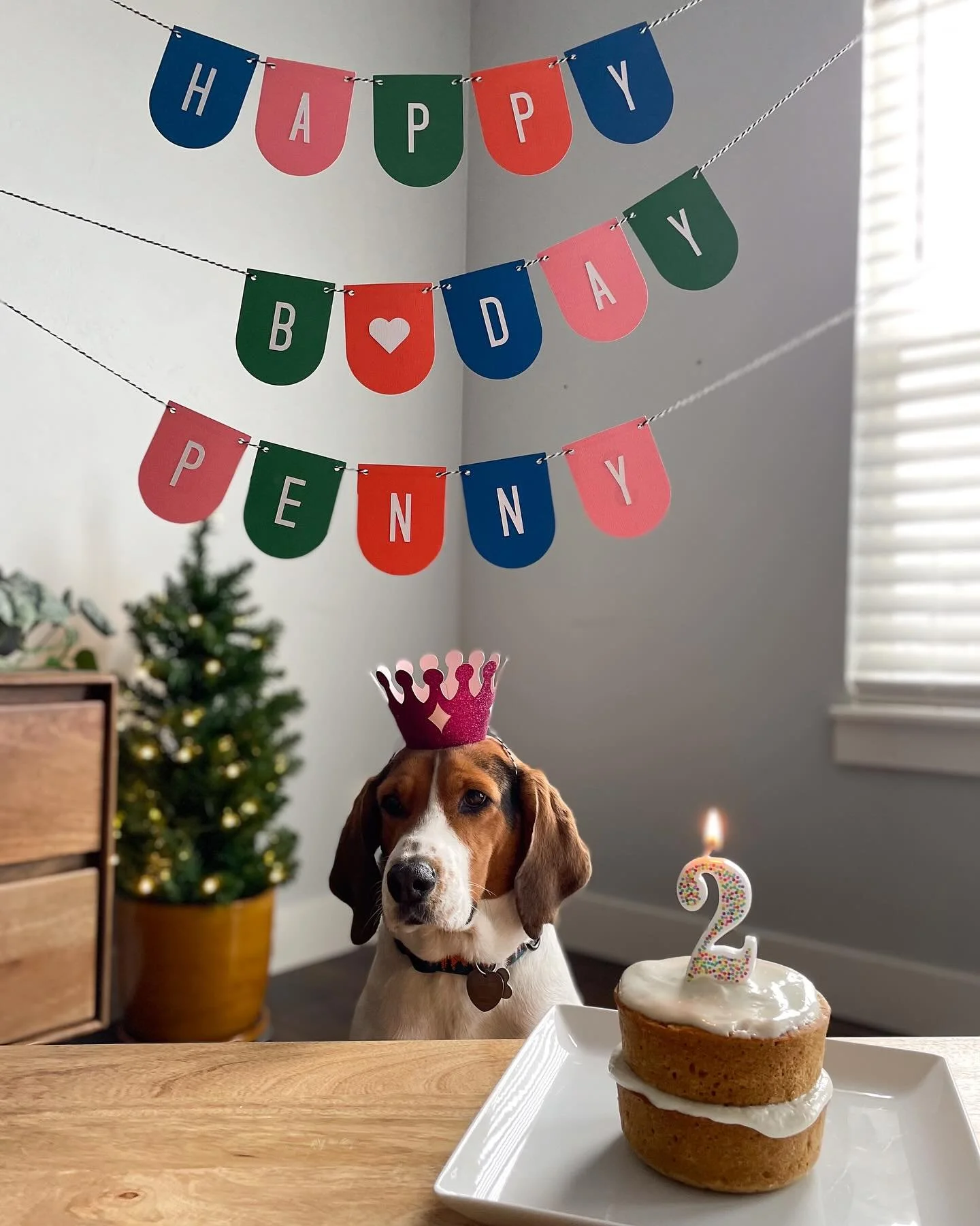 Call me crazy because we had a birthday / adoption day party for Penny. I used my #cricut crafting skills to make a banner and tiny crown. I even baked a 🎂. Then we went on a birthday hike.  @notabigbeagle @cricut #dogmom #dogbirthdayparty #houndlif