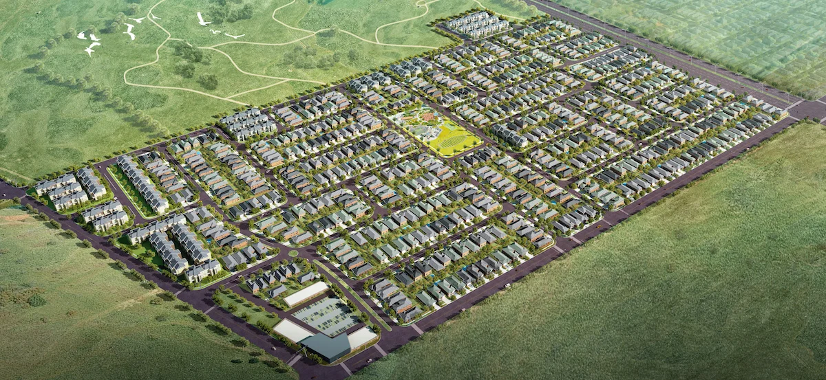 birdview.jpg