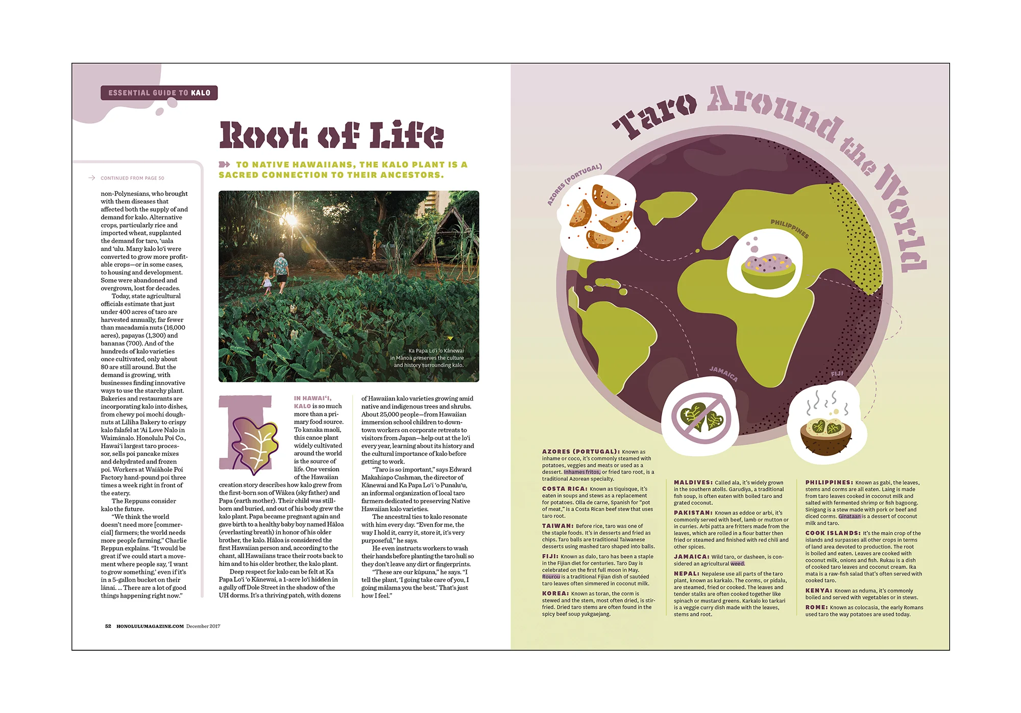 taro feature_0004_honolulu taro feature3.jpg