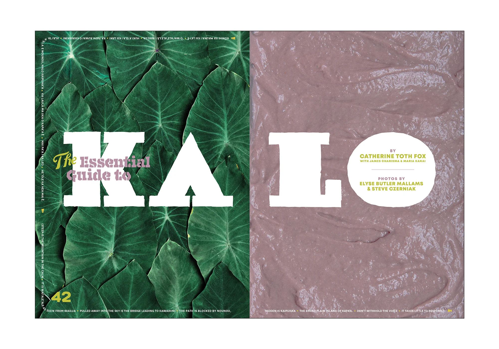 taro feature_0006_honolulu taro feature.jpg