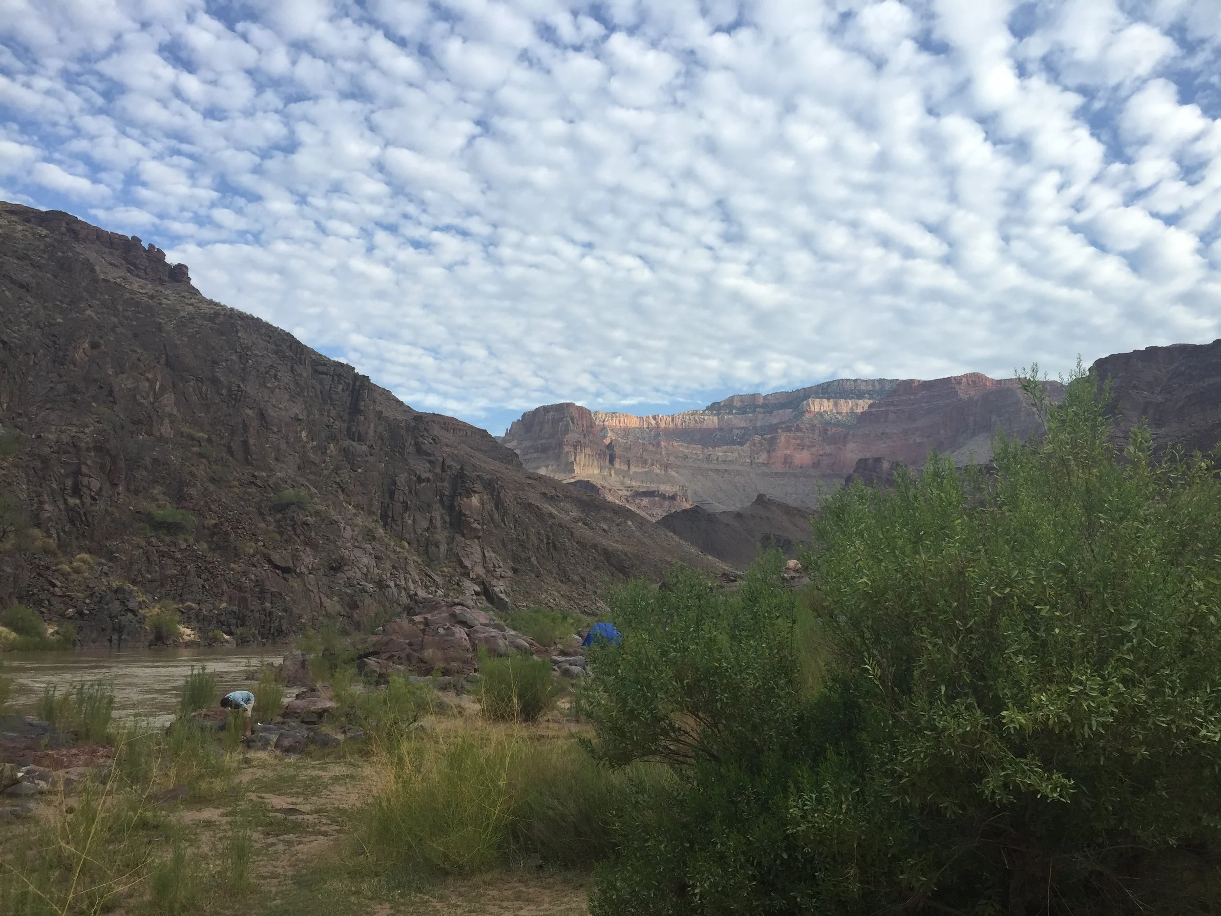 IMG_1210.JPG