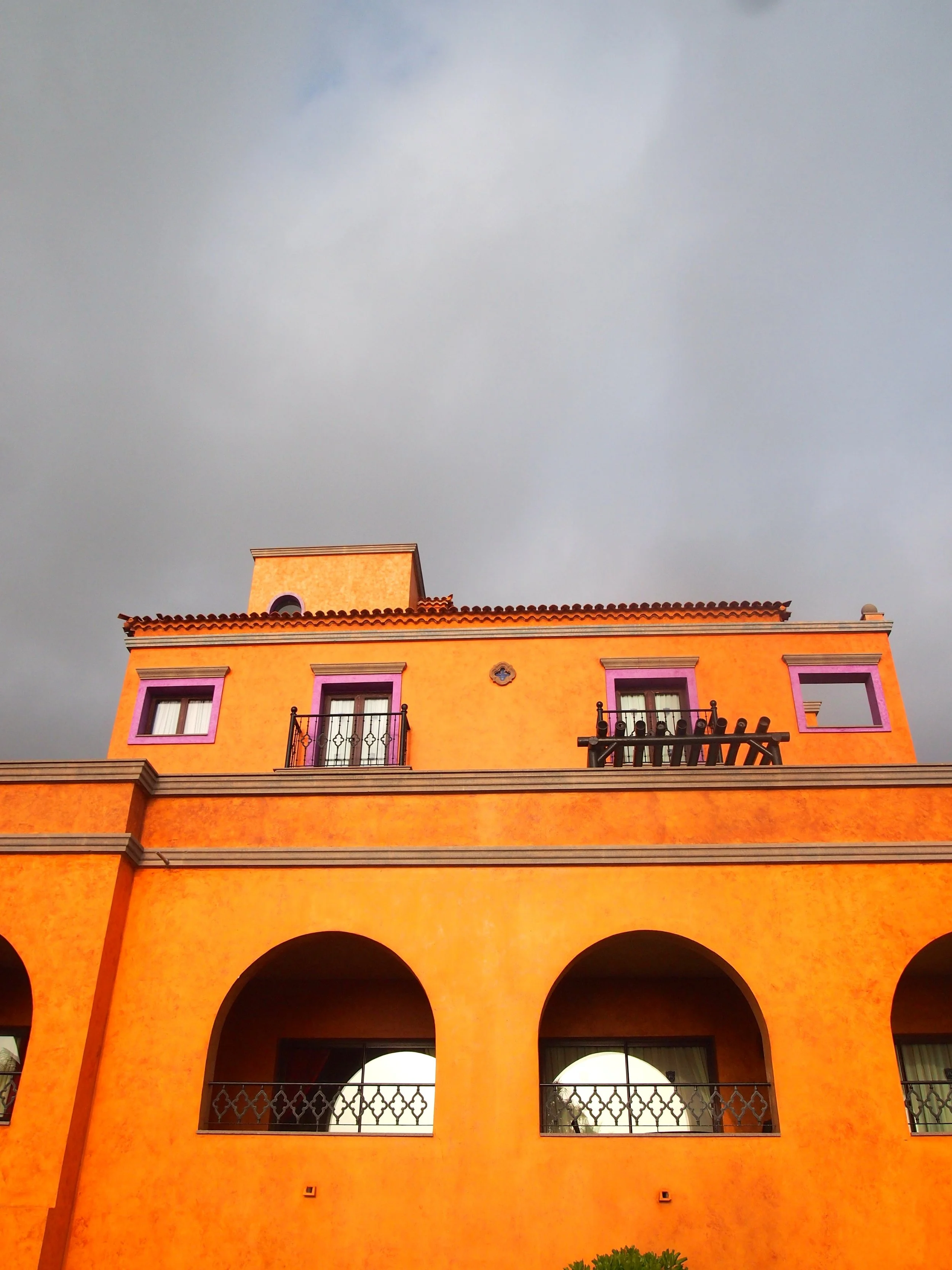 P1012204.jpg