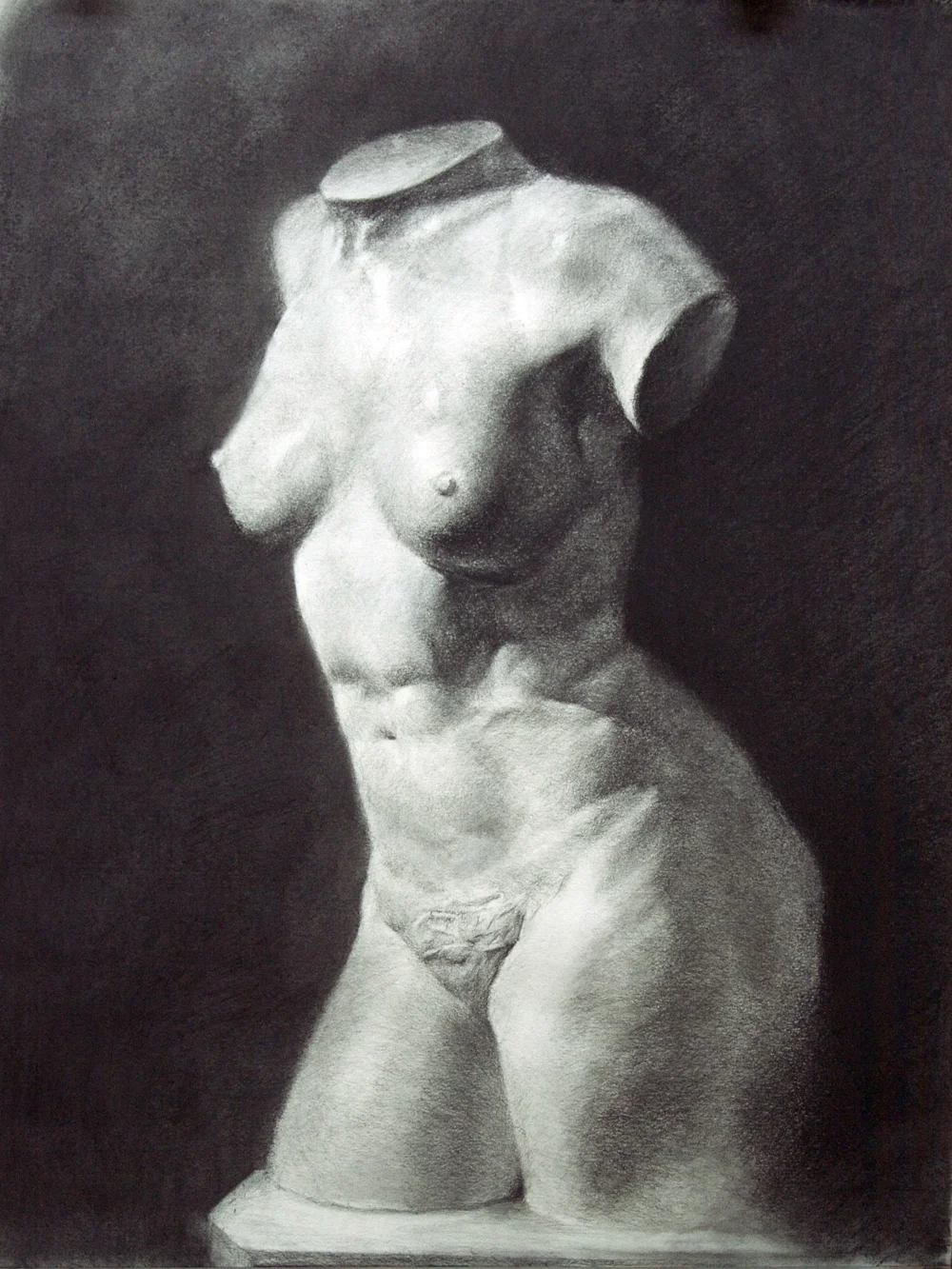Study of a Plaster Bust