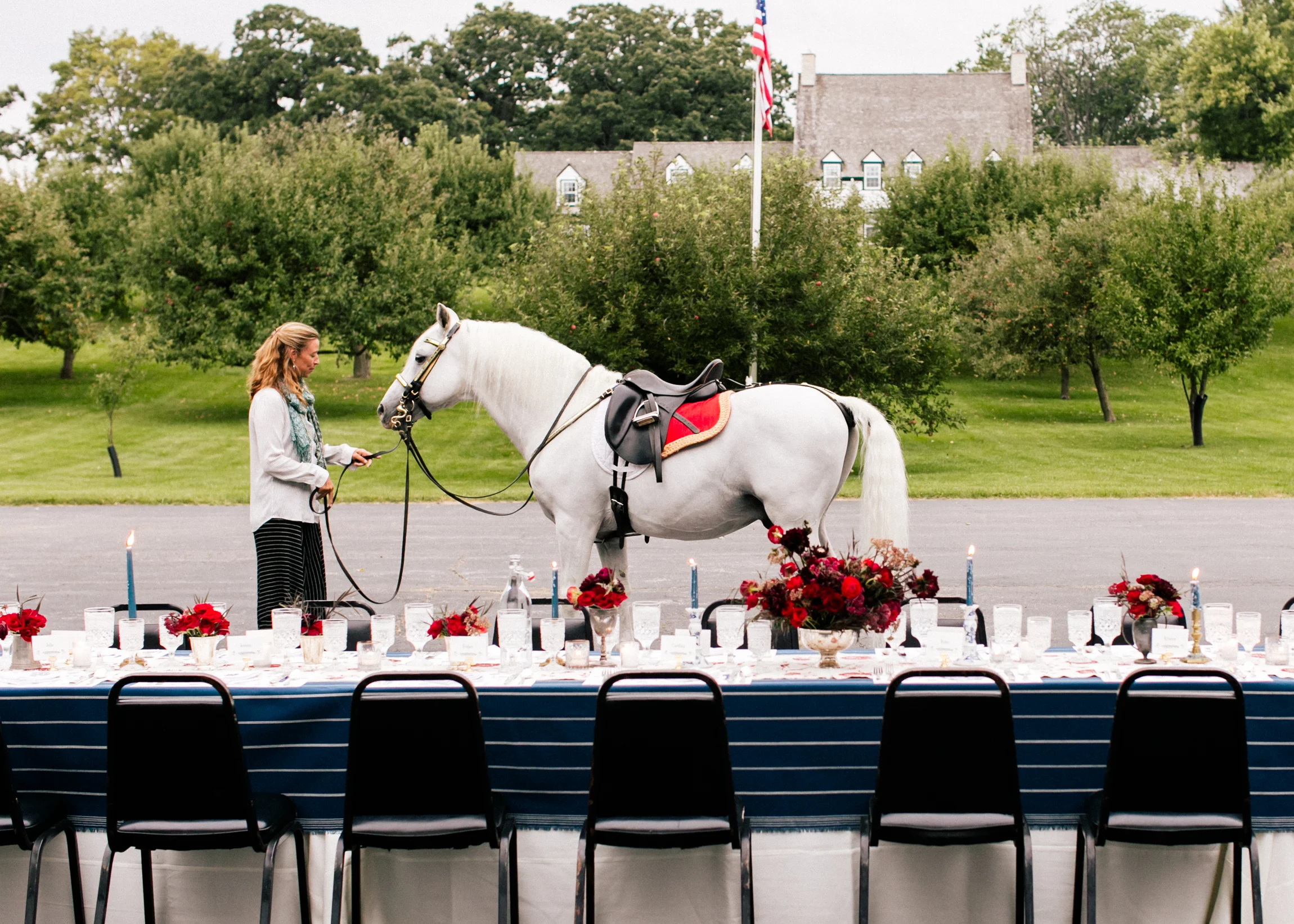 Filigree-ShowPony-4225.jpg