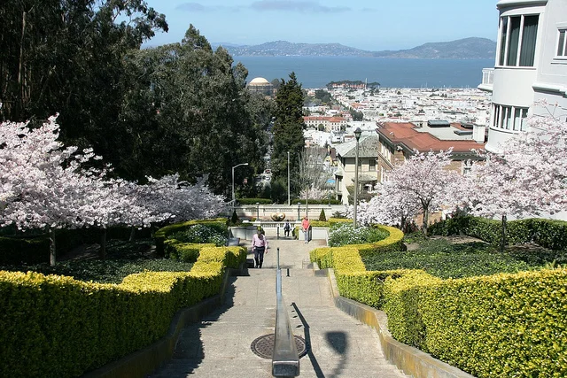 Pacific Heights***