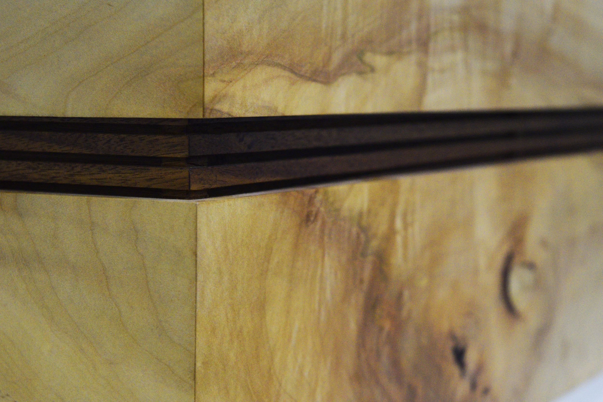 DSC_0703[1] copy.jpg