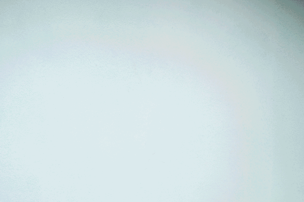 Delivery-system.gif