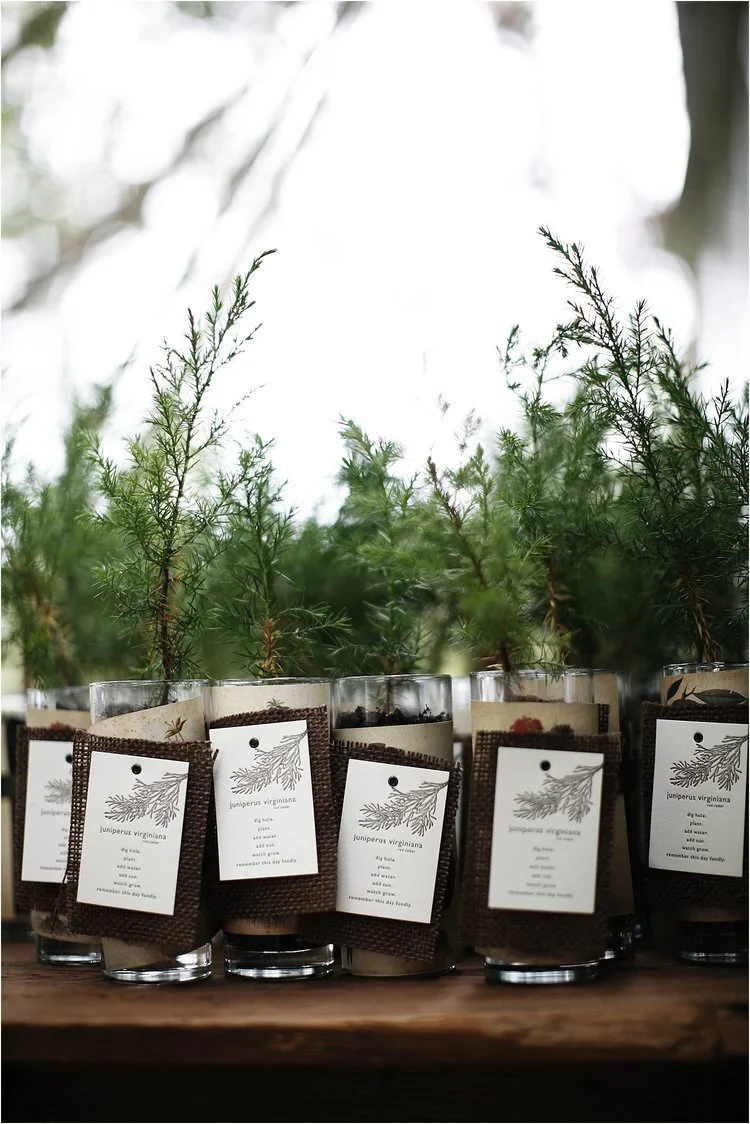 eleise-theuer-virginia-wedding-photography_016 (1).jpg