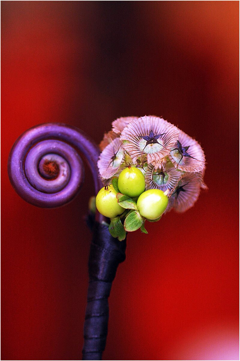 eleise-theuer-virginia-wedding-photography_045 (1).jpg