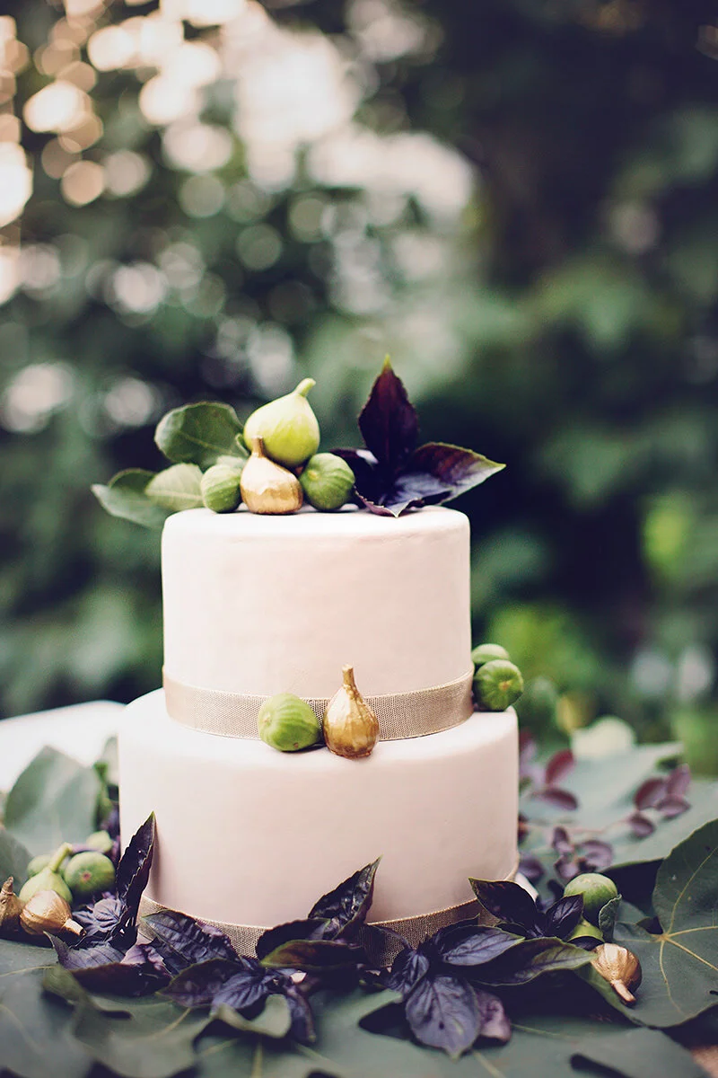 figs-cake-wedding-virginia-photography (1).jpg