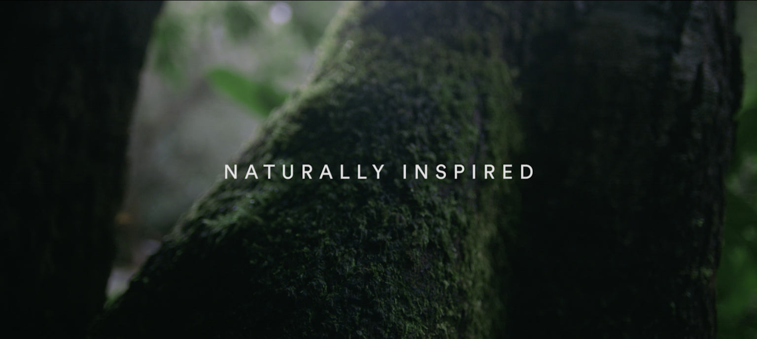 Naturally Inspired.png