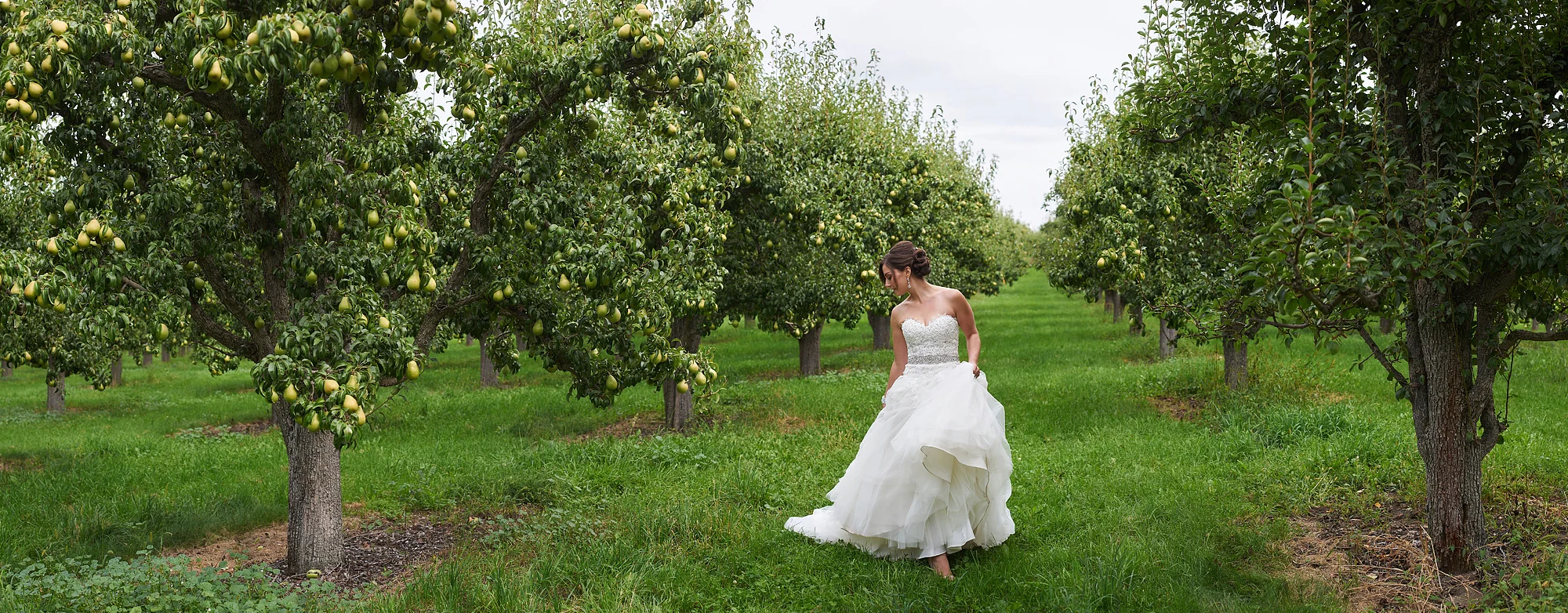 kelowna wedding photographers