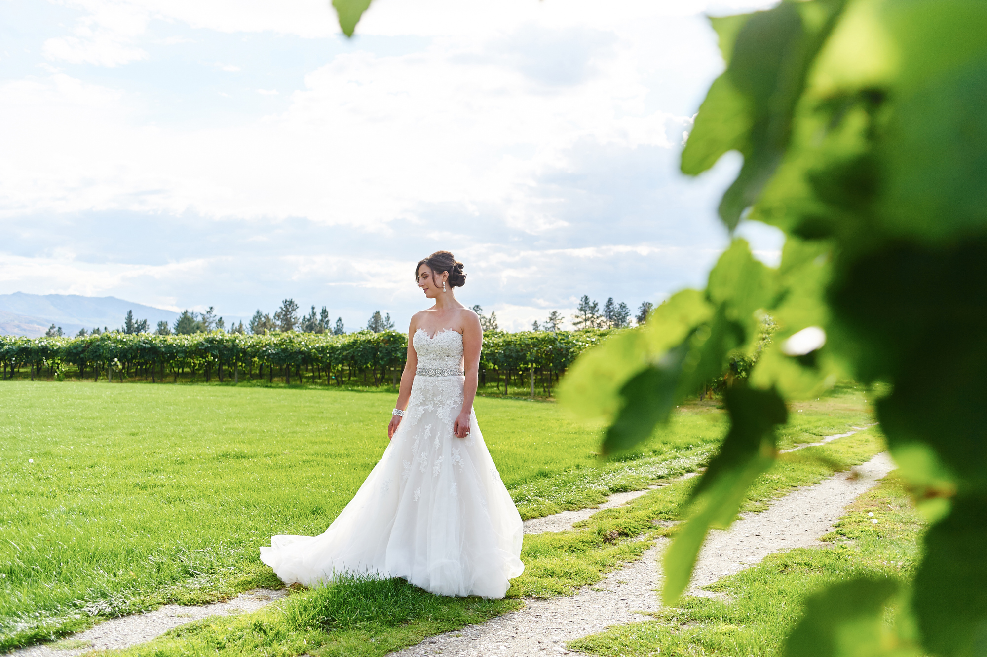  kelowna wedding photographers 