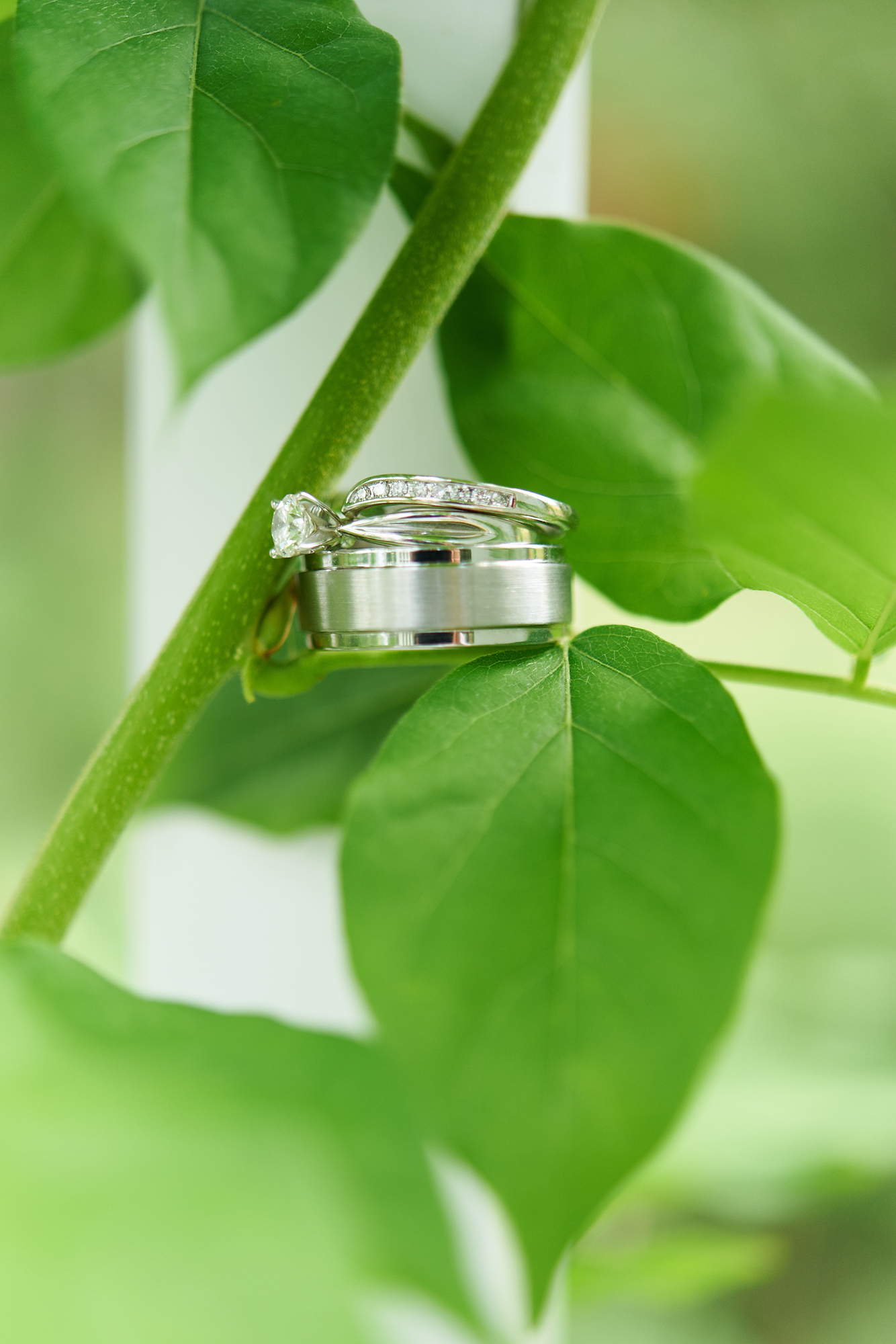 okanagan wedding photographers