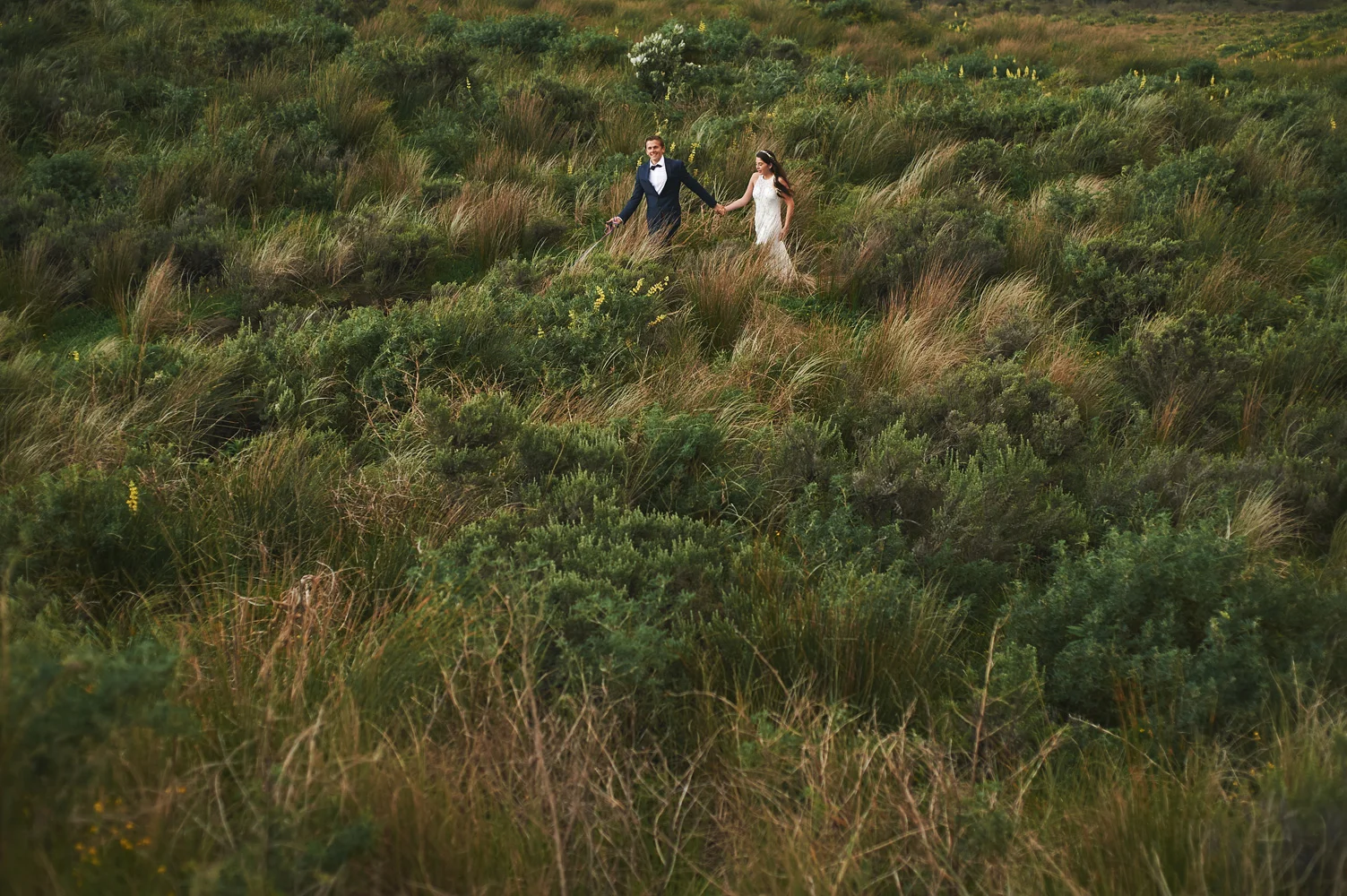 Wedding Couple Formal Photo