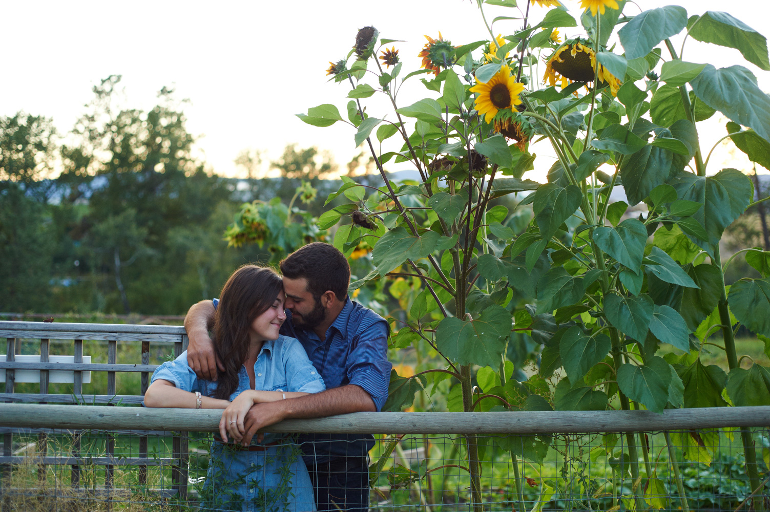 engaged couple snuggling