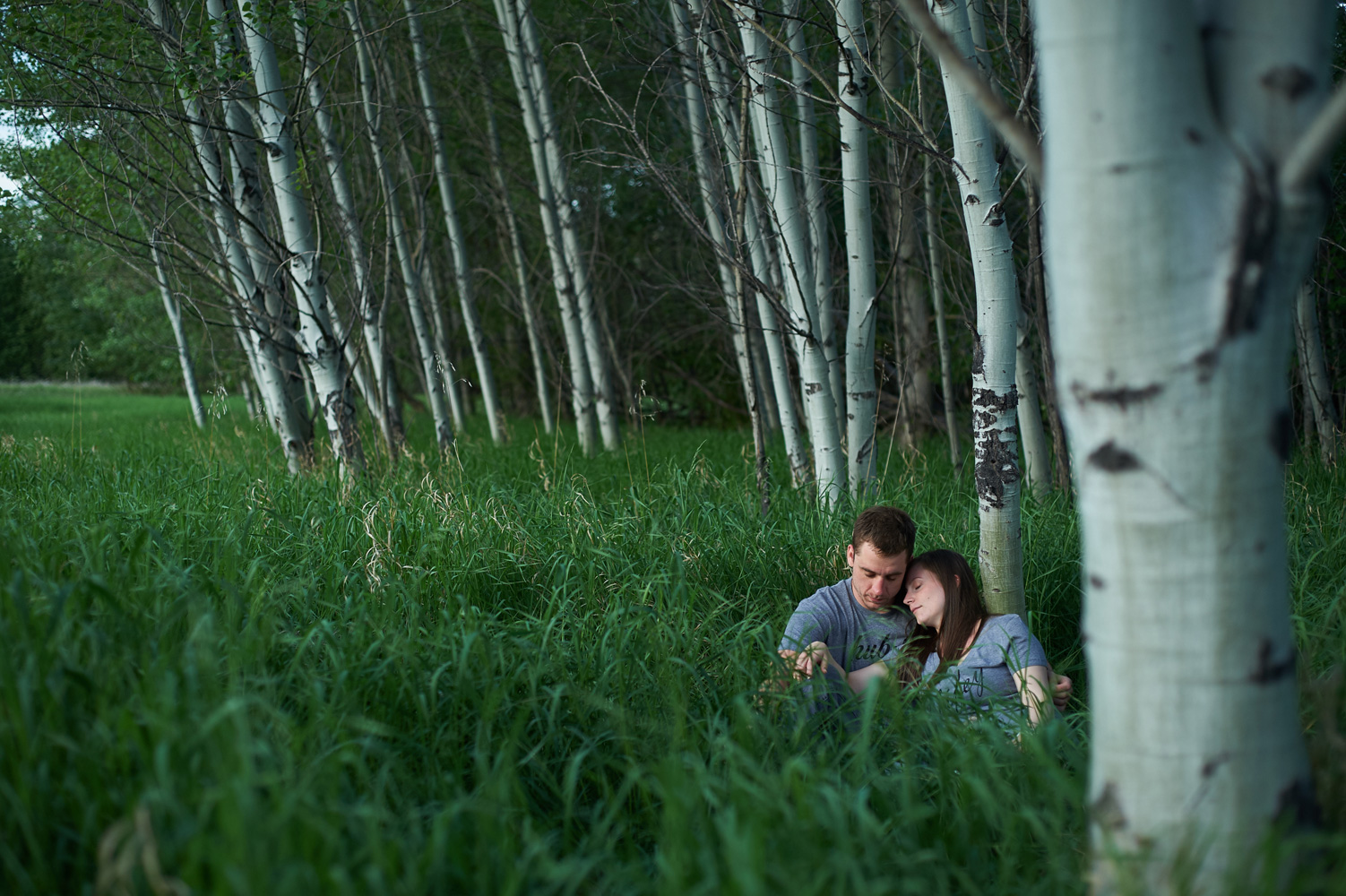 engaged-couple-sitting-in-long-grass-by-a-grove-of-birch-trees.jpg