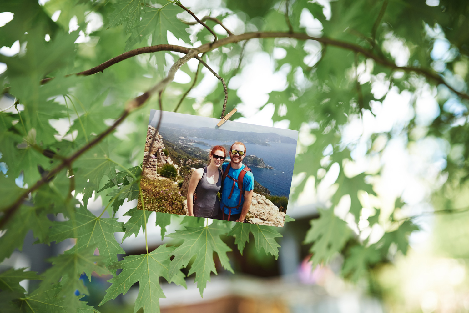 bride-and-groom-photos-pinned-in-a-tree.jpg