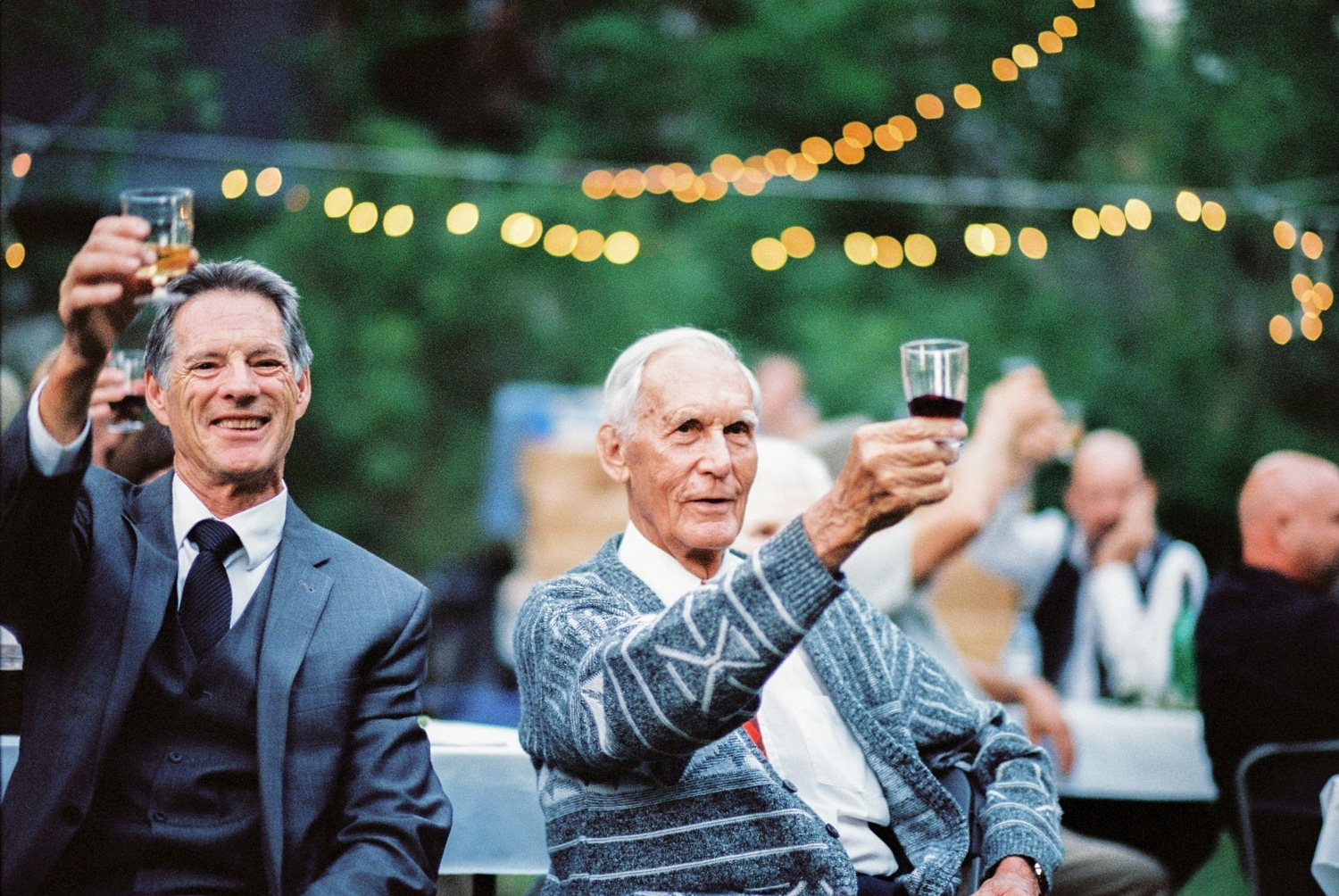 wedding-guests-toasting-the-bride-and-groom.jpg