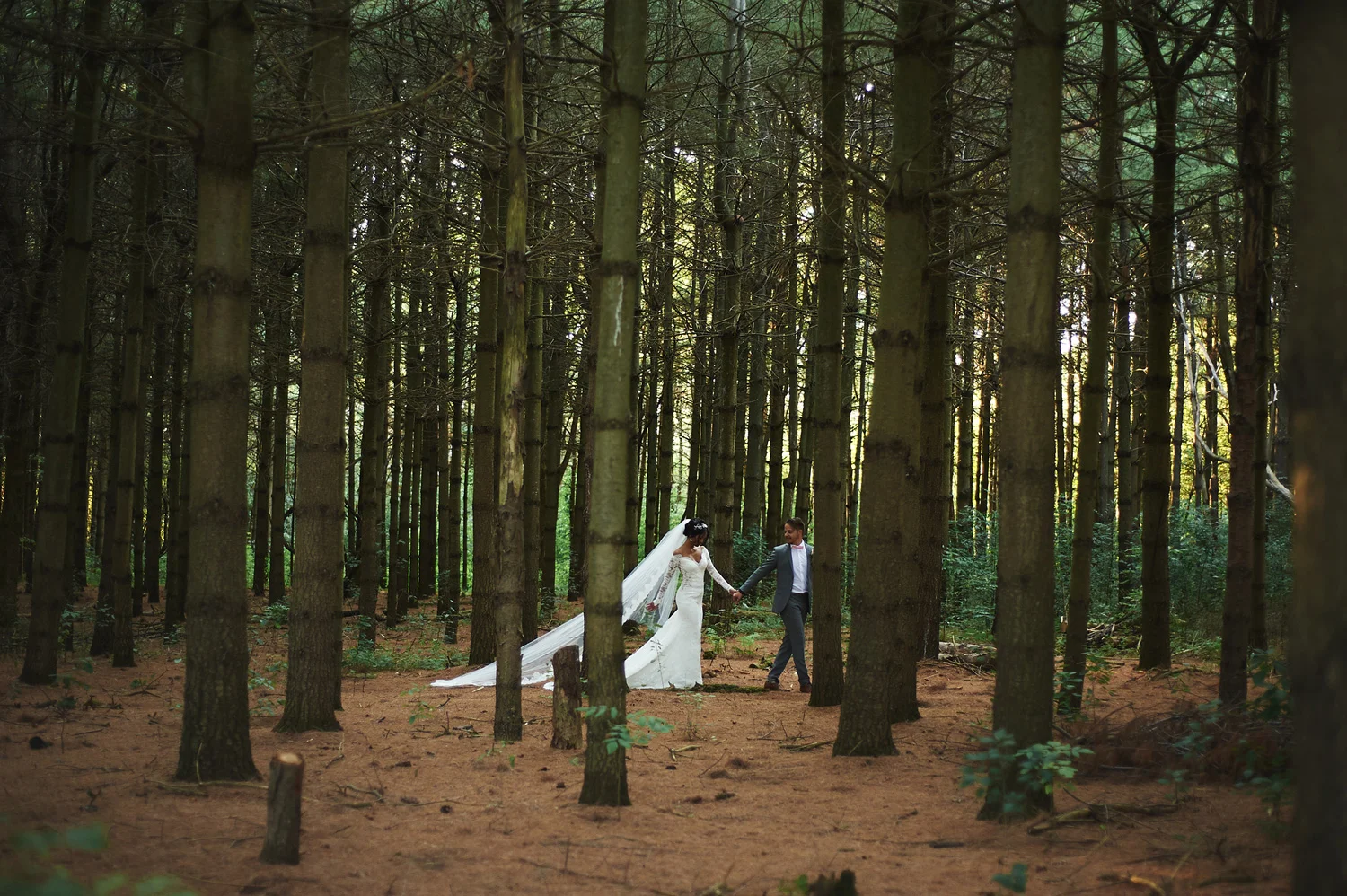 bride-and-groom-in-the-wilds-of-ontario-portrait.jpg