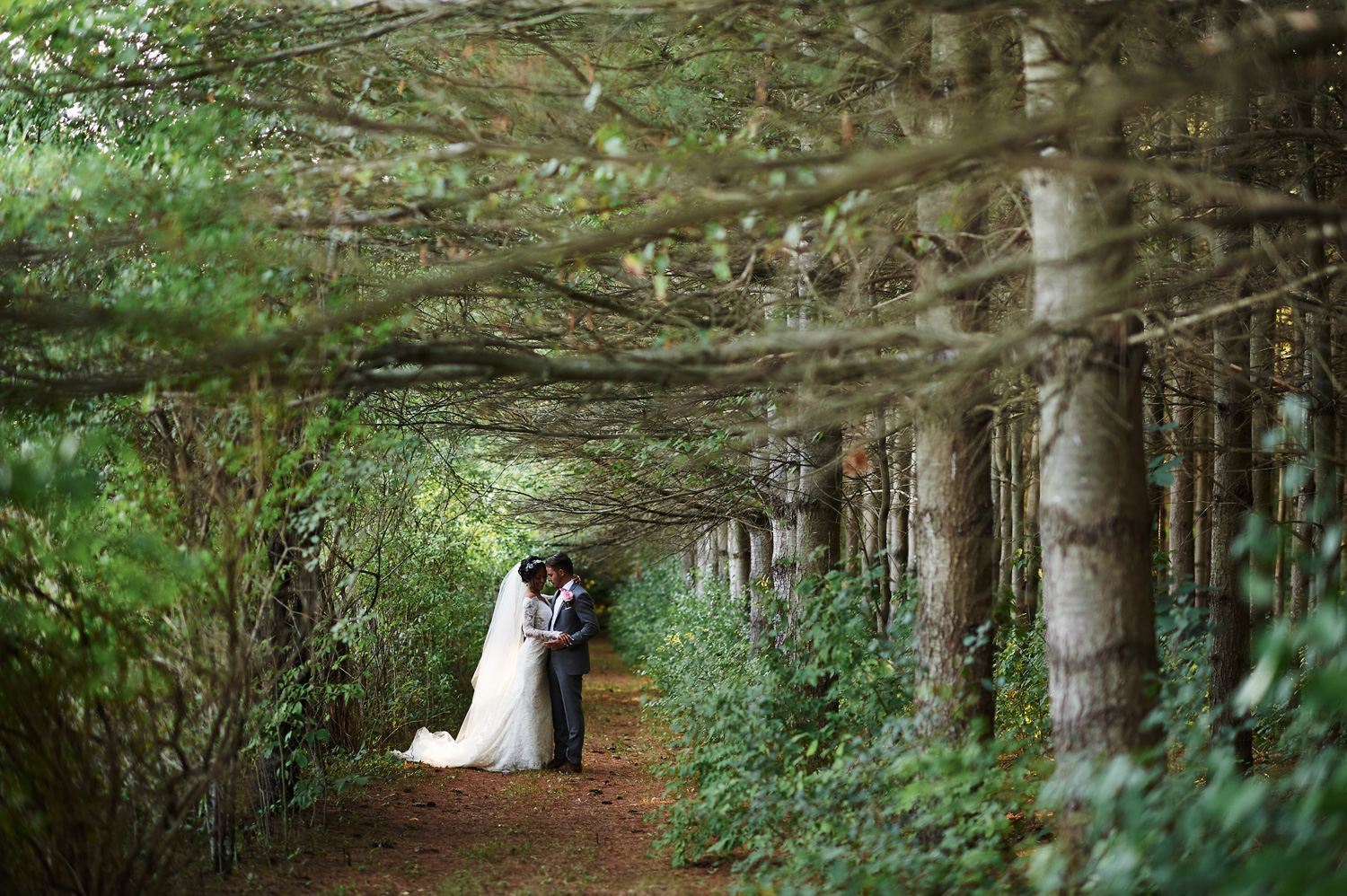 bride-and-groom-wedding-day-portrait-in-ontario.jpg