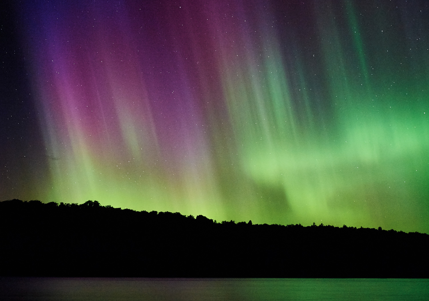 northern-lights-at-an-outdoor-wedding-reception-in-ontario.jpg