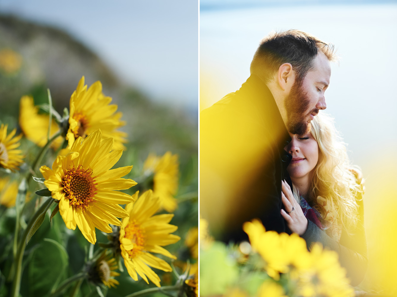 arrowroot-flower-engagement-session-by-okanagan-lake.jpg