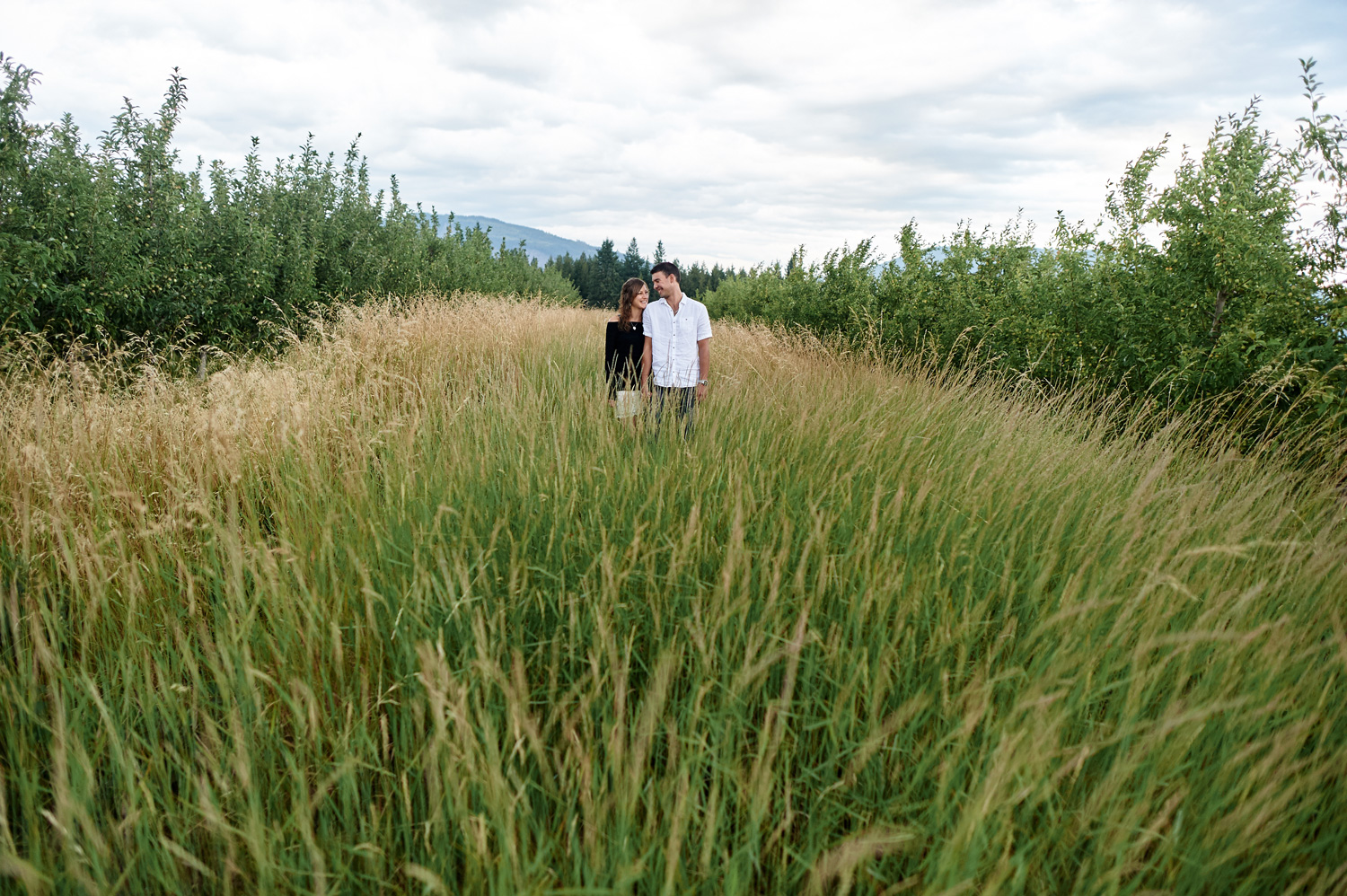 engaged-couple-in-field-in-kamloops.jpg