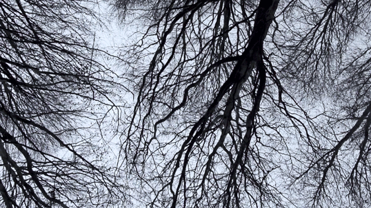 4.gif
