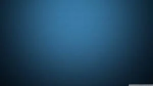 CALSEIA Q3 Board of Directors Meeting