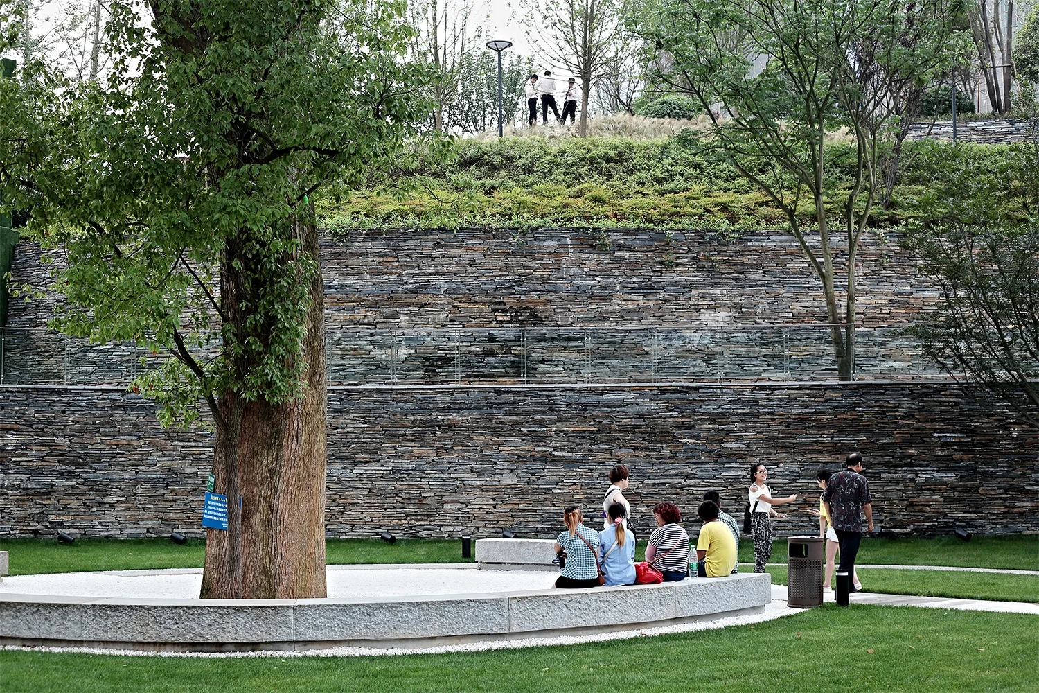 CamphorGarden3.jpg