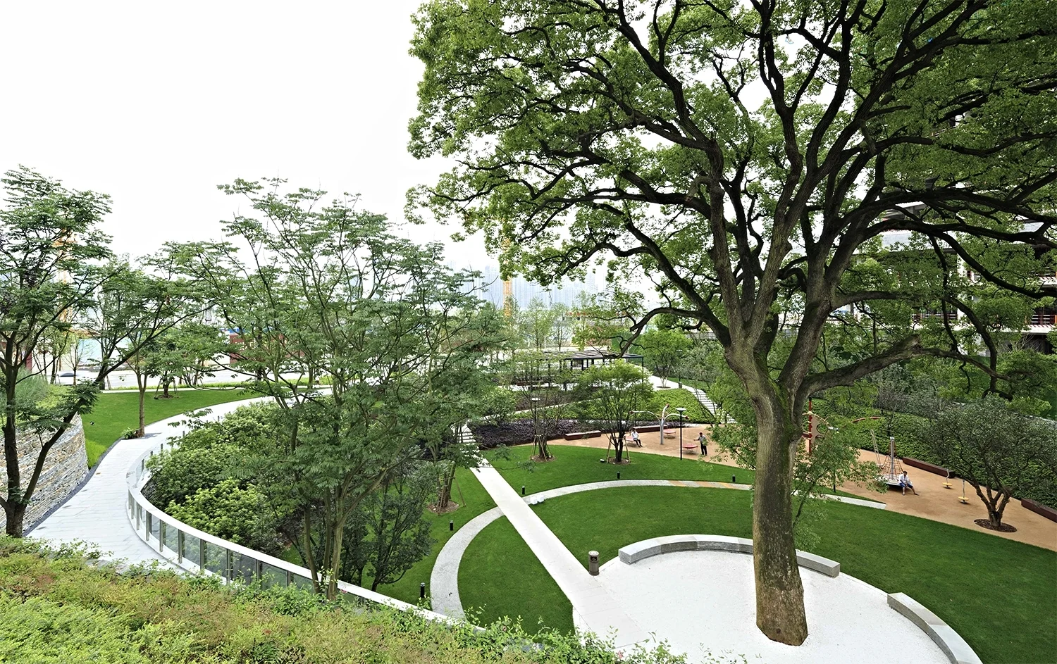 CamphorGarden1.jpg